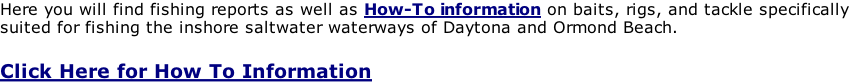 Here you will find fishing reports as well as How-To information on baits, rigs, and tackle specifically  suited for fishing the inshore saltwater waterways of Daytona and Ormond Beach.     Click Here for How To Information